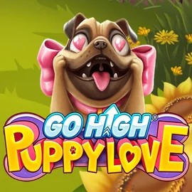 game logo by RubyPlay on playmojo.eu.com